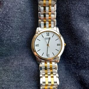 Citizen Eco Stelleto Watch ⌚